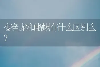 狗生崽有什么征兆？