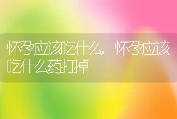 怀孕应该吃什么，怀孕应该吃什么药打掉