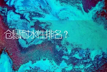 仓鼠耐水性排名？