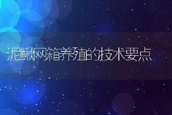 泥鳅网箱养殖的技术要点