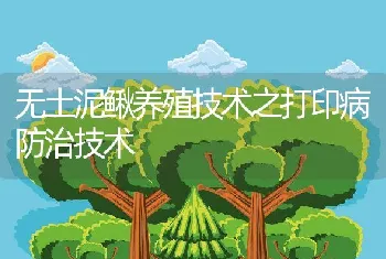 无土泥鳅养殖技术之打印病防治技术