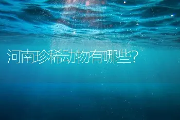 河南珍稀动物有哪些？