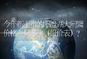 今年新上市的阳澄湖大闸蟹价格一只多少（报价表）？