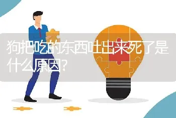 狗把吃的东西吐出来死了是什么原因？