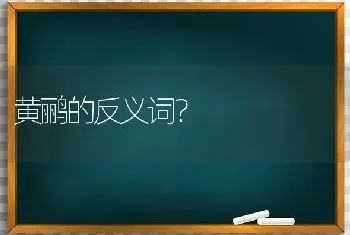 黄鹂的反义词？