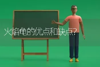 火焰龟的优点和缺点？