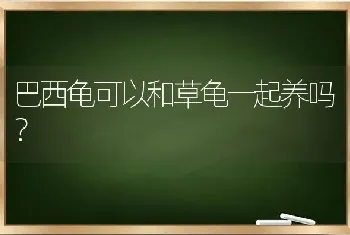 巴西龟可以和草龟一起养吗？