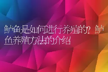 鲈鱼是如何进行养殖的?鲈鱼养殖方法的介绍