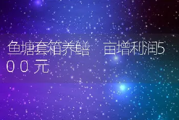 鱼塘套箱养鳝亩增利润500元