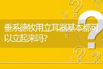 垂系德牧用立耳器基本都可以立起来吗？