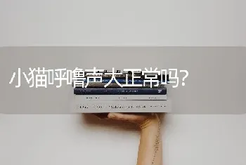 金毛和拉布拉多哪个好？