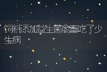 饲料添加益生菌禽畜吃了少生病