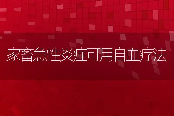 家畜急性炎症可用自血疗法