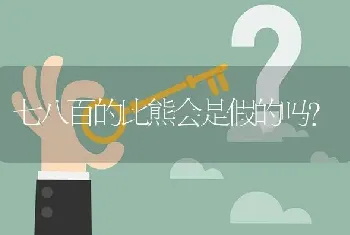 七八百的比熊会是假的吗？