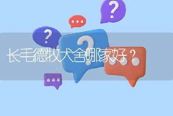 长毛德牧犬舍哪家好？