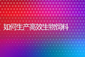 如何生产高效生物饲料