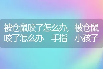 被仓鼠咬了怎么办，被仓鼠咬了怎么办 手指 小孩子