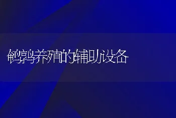 鹌鹑养殖的辅助设备