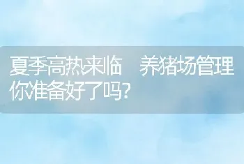 夏季高热来临 养猪场管理你准备好了吗？