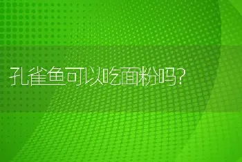 孔雀鱼可以吃面粉吗？