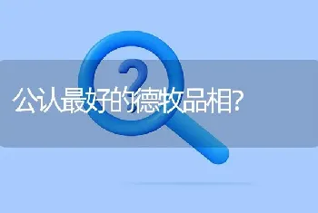 公认最好的德牧品相？