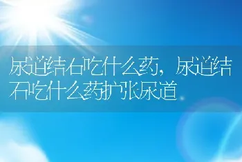 尿道结石吃什么药，尿道结石吃什么药扩张尿道