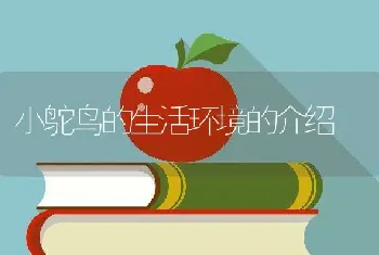 小鸵鸟的生活环境的介绍