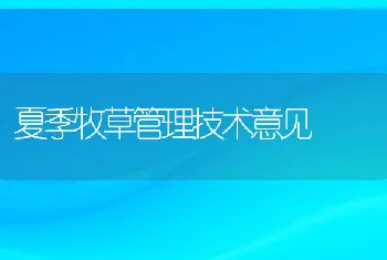 夏季牧草管理技术意见