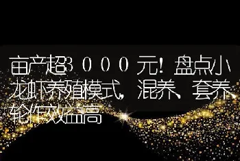 亩产超3000元！盘点小龙虾养殖模式，混养、套养、轮作效益高