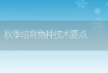 秋季培育鱼种技术要点