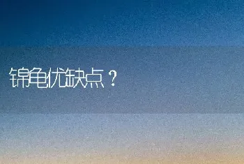 锦龟优缺点？