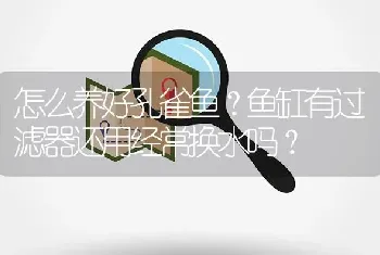 怎么养好孔雀鱼？鱼缸有过滤器还用经常换水吗？