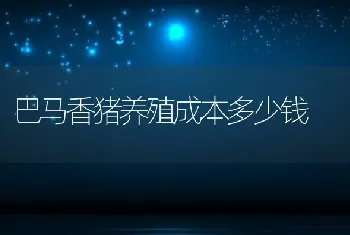 巴马香猪养殖成本多少钱