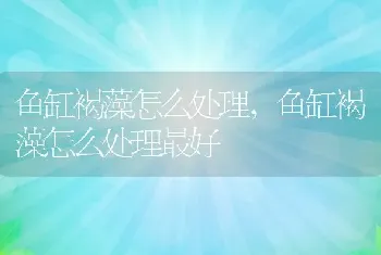 鱼缸褐藻怎么处理，鱼缸褐藻怎么处理最好