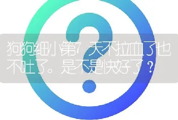 狗狗细小第7天不拉血了也不吐了。是不是快好了？