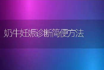 高密度养殖罗非鱼应注意的问题