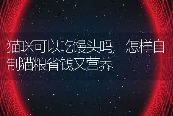 生鱼是什么鱼，生鱼是什么鱼图片大全