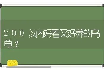 200以内好看又好养的乌龟？