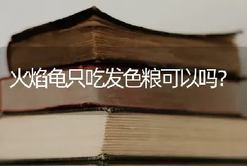 火焰龟只吃发色粮可以吗？