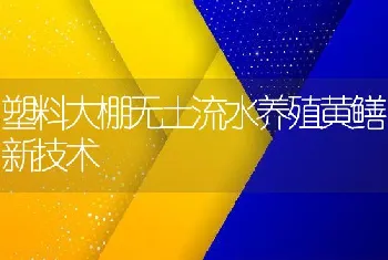 塑料大棚无土流水养殖黄鳝新技术