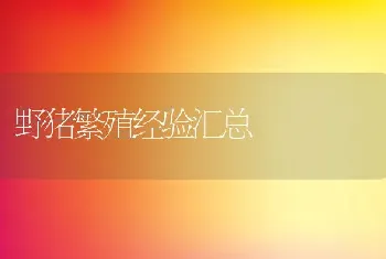 野猪繁殖经验汇总