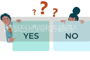 黑背还分西德和东德吗？