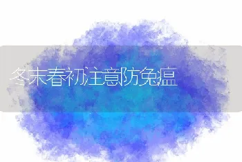 冬末春初注意防兔瘟