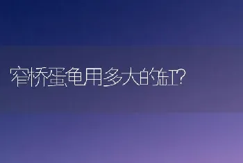 窄桥蛋龟用多大的缸？