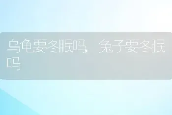 乌龟要冬眠吗，兔子要冬眠吗