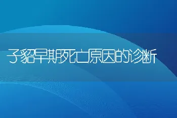 子貂早期死亡原因的诊断