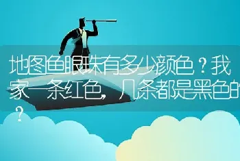 地图鱼眼珠有多少颜色？我家一条红色，几条都是黑色的？