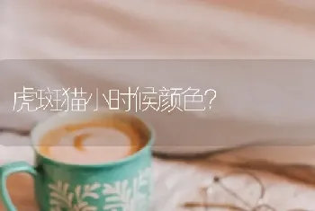 虎斑猫小时候颜色？