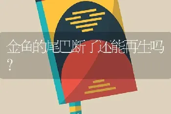 金鱼的尾巴断了还能再生吗？