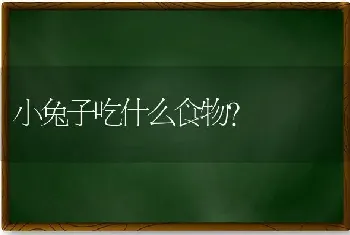 小兔子吃什么食物？